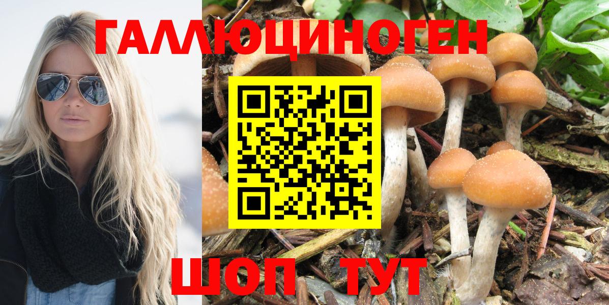 Галлюциногенные грибы мухоморы Красноярск