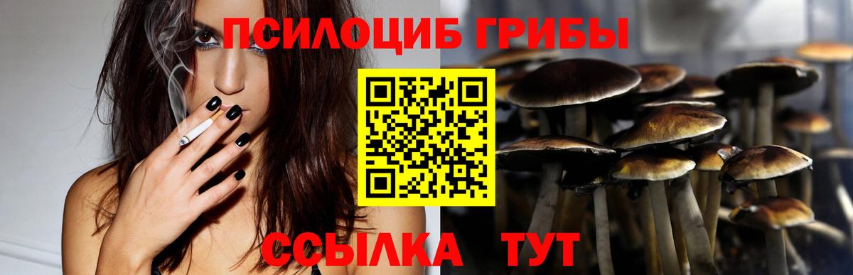 Галлюциногенные грибы MAGIC MUSHROOMS  Галлюциногенные грибы прущие грибы  Вход с VPN  Красноярск 